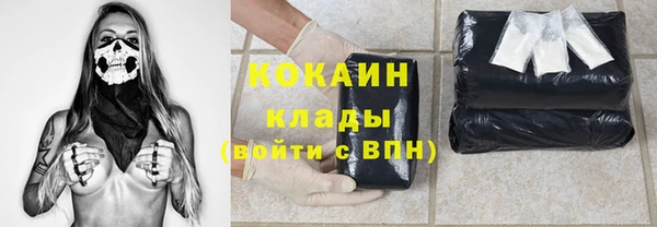 прущий лед Алзамай