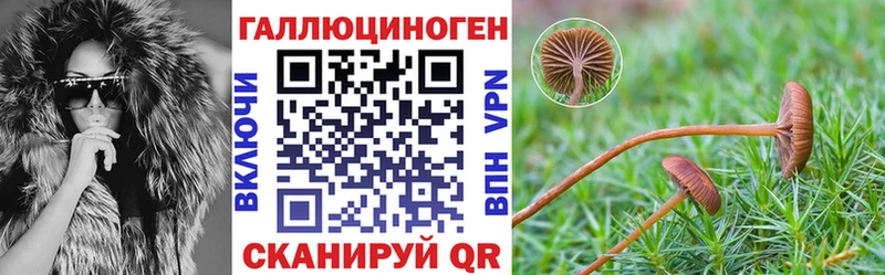 Псилоцибиновые грибы Magic Shrooms Вологда