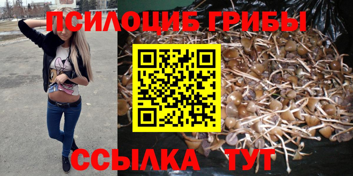 Псилоцибиновые грибы ЛСД Вологда