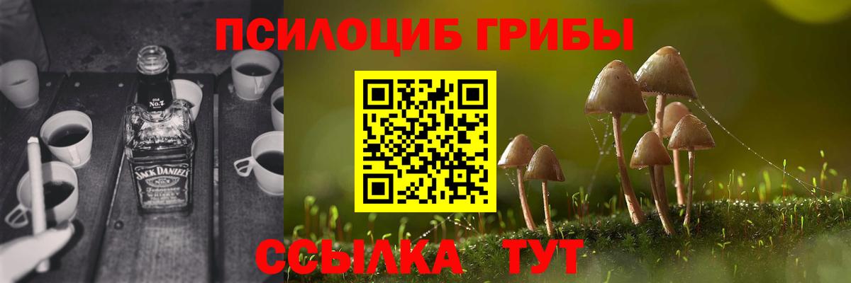 Псилоцибиновые грибы MAGIC MUSHROOMS  Псилоцибиновые грибы Psilocybe  Вологда  как найти закладки  Вход с VPN 